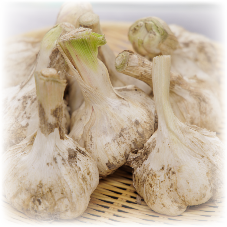 こだわりの食材