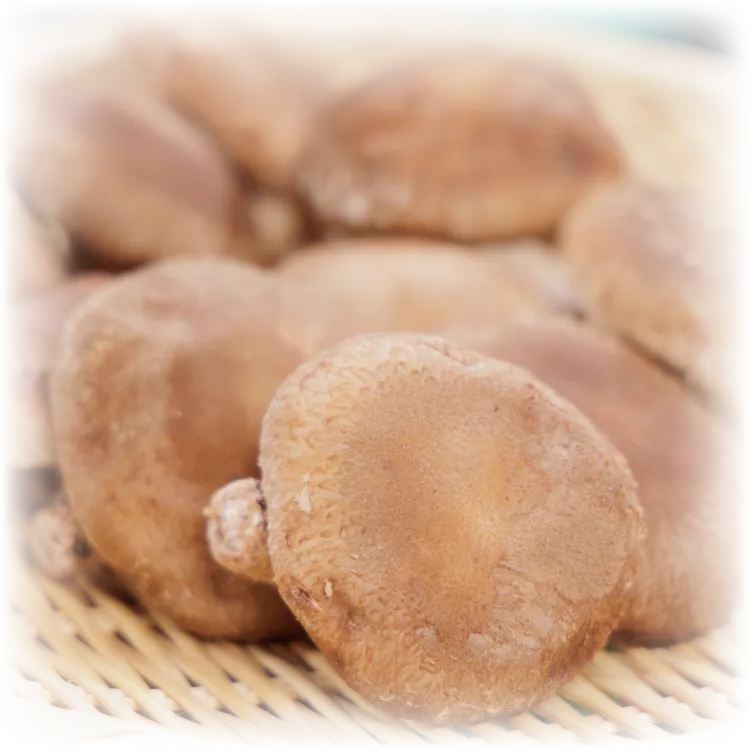 こだわりの食材