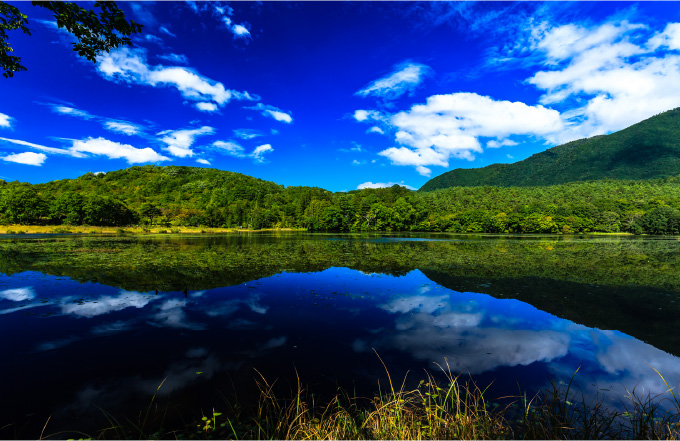 観音沼森林公園
